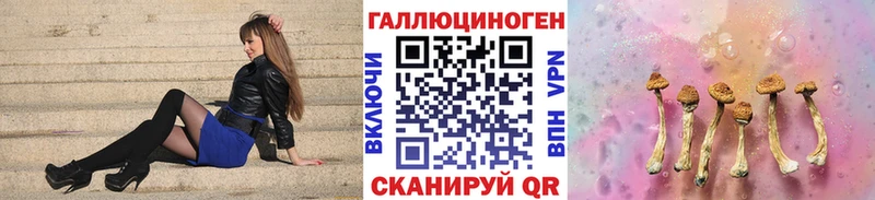 Галлюциногенные грибы Cubensis Лабинск